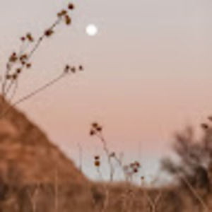 Meet your Posher, Abileen